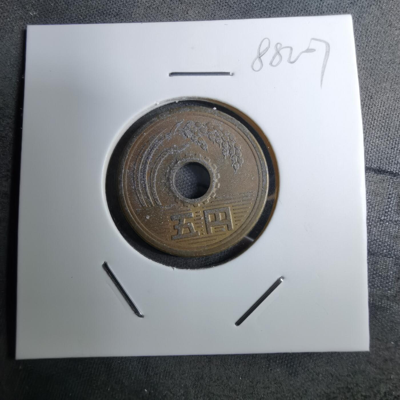 沼泽如烟--第888场