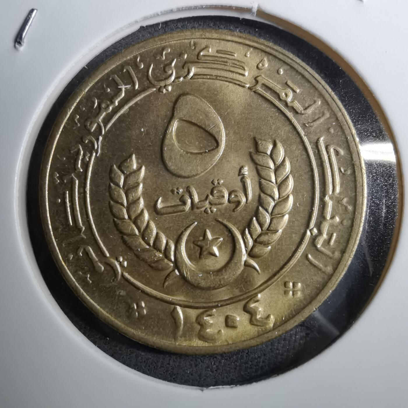 沼泽如烟--第888场