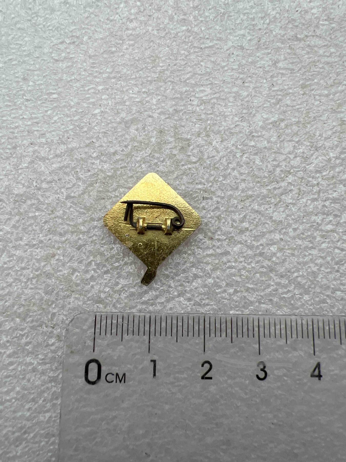 真品毛主席像章F 真品像章纪念章F