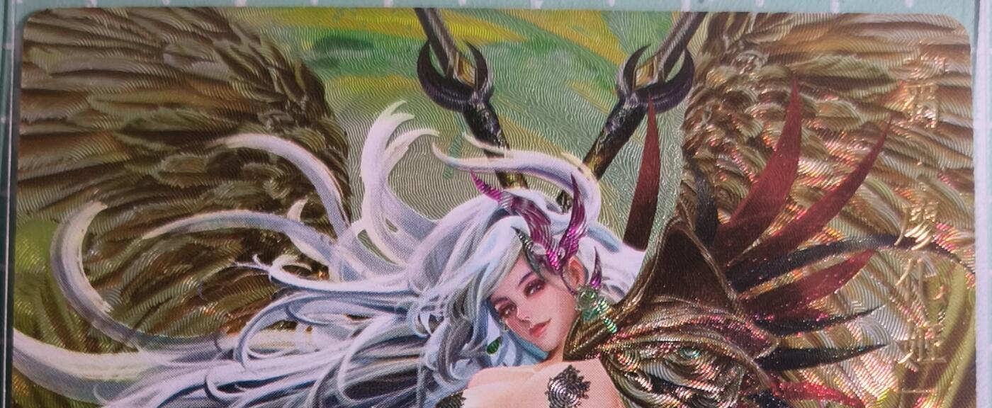 C先生卡牌 第15期 元集纪·刷子签·罐儿签·毒瘤签(持续收拍品中...) 【粗闪】卡玩帕克《魂姬三国》廖化姬