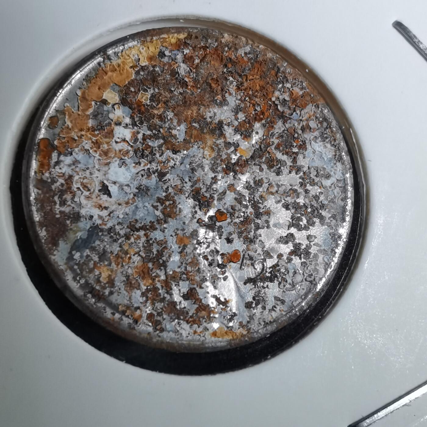 沼泽如烟--第888场