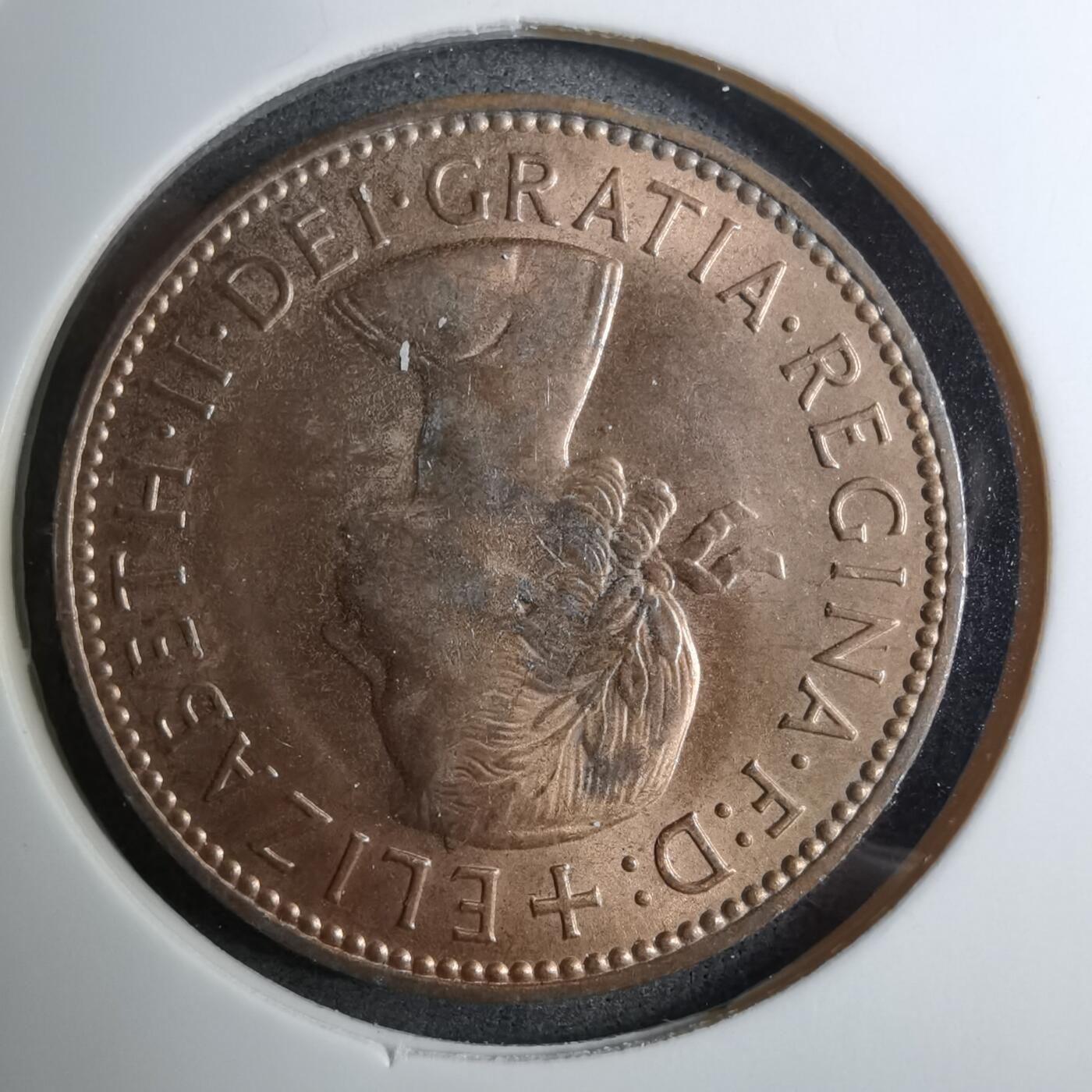 沼泽如烟--第888场