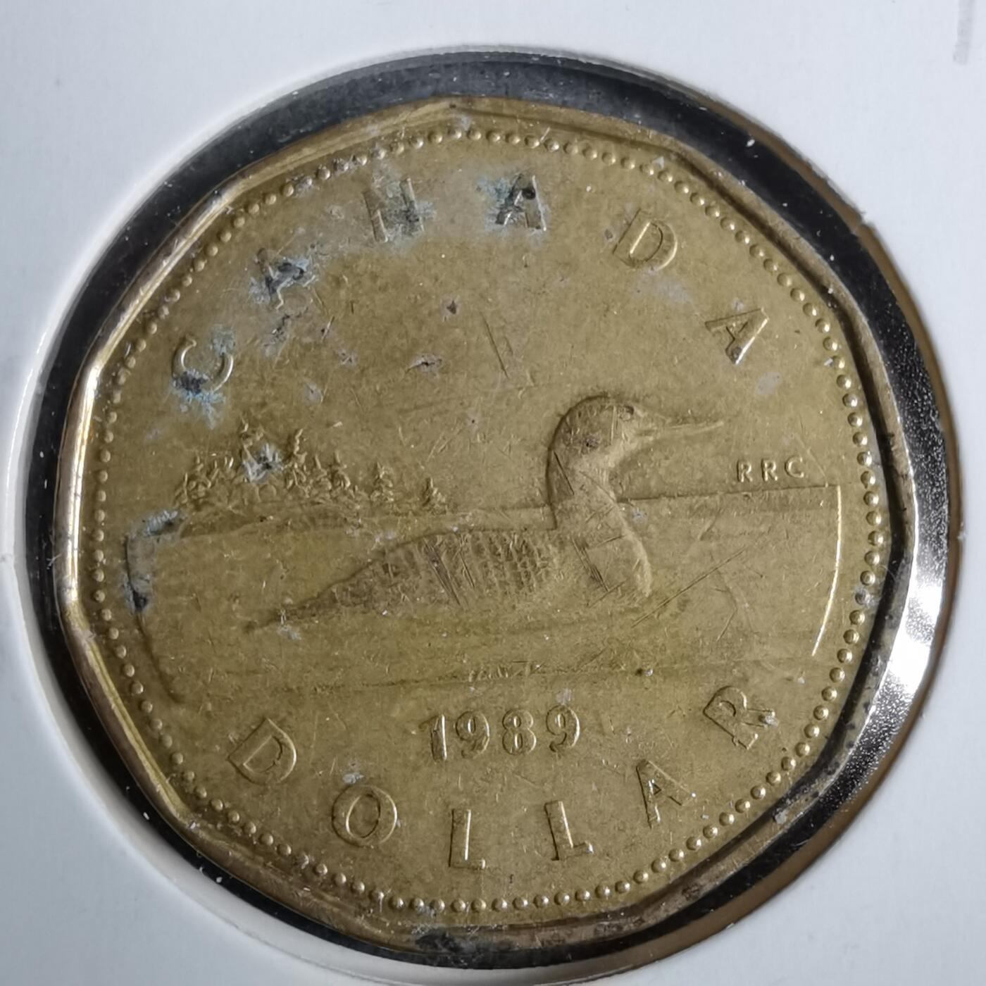 沼泽如烟--第889场