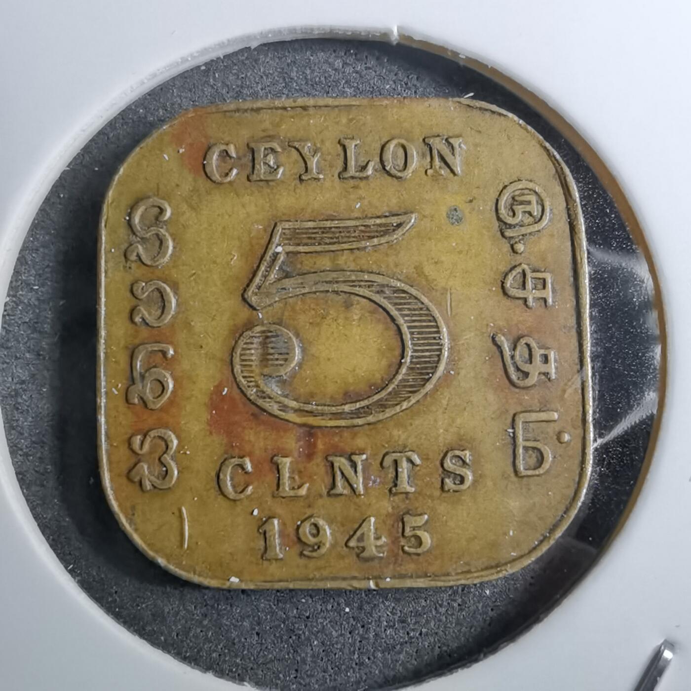 沼泽如烟--第888场