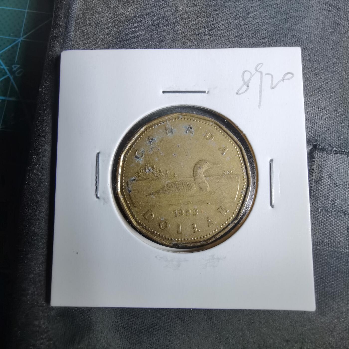 沼泽如烟--第889场