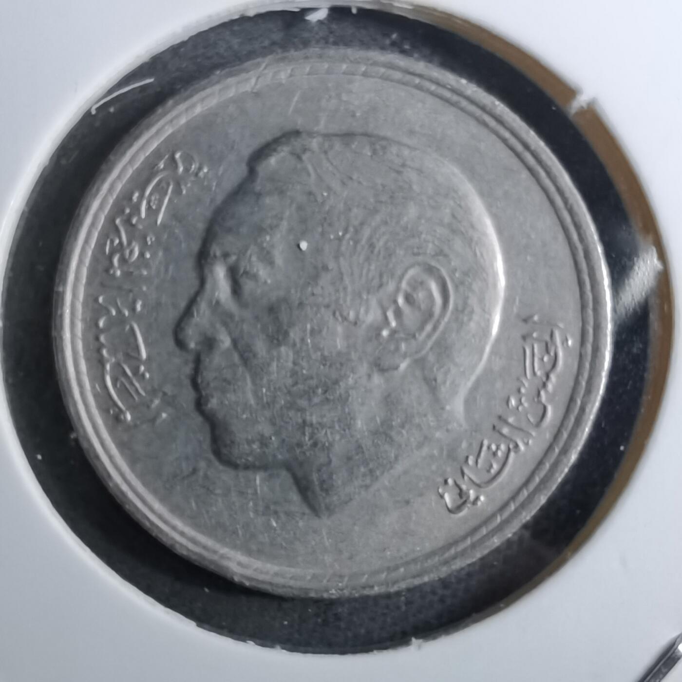 沼泽如烟--第888场