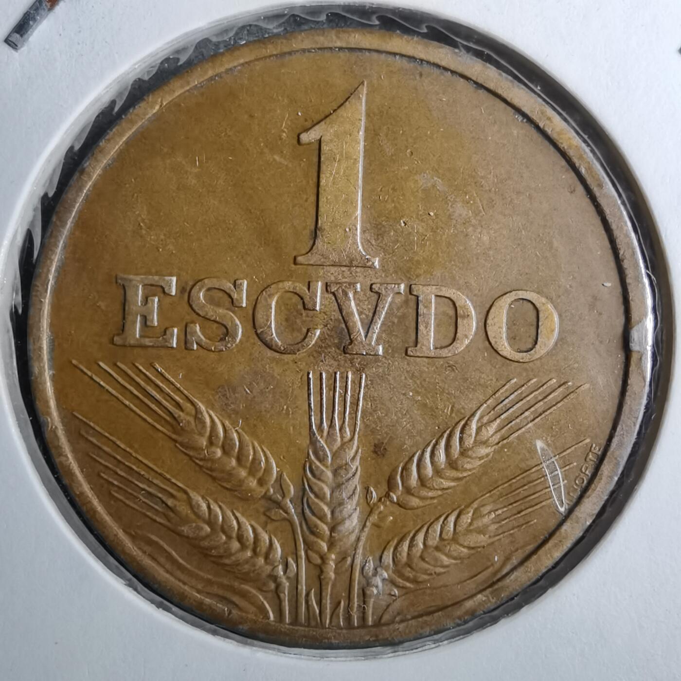 沼泽如烟--第888场