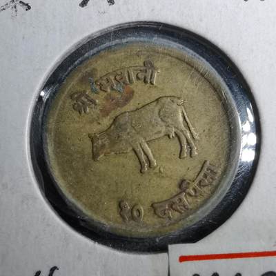 沼泽如烟--第888场 - 尼泊尔