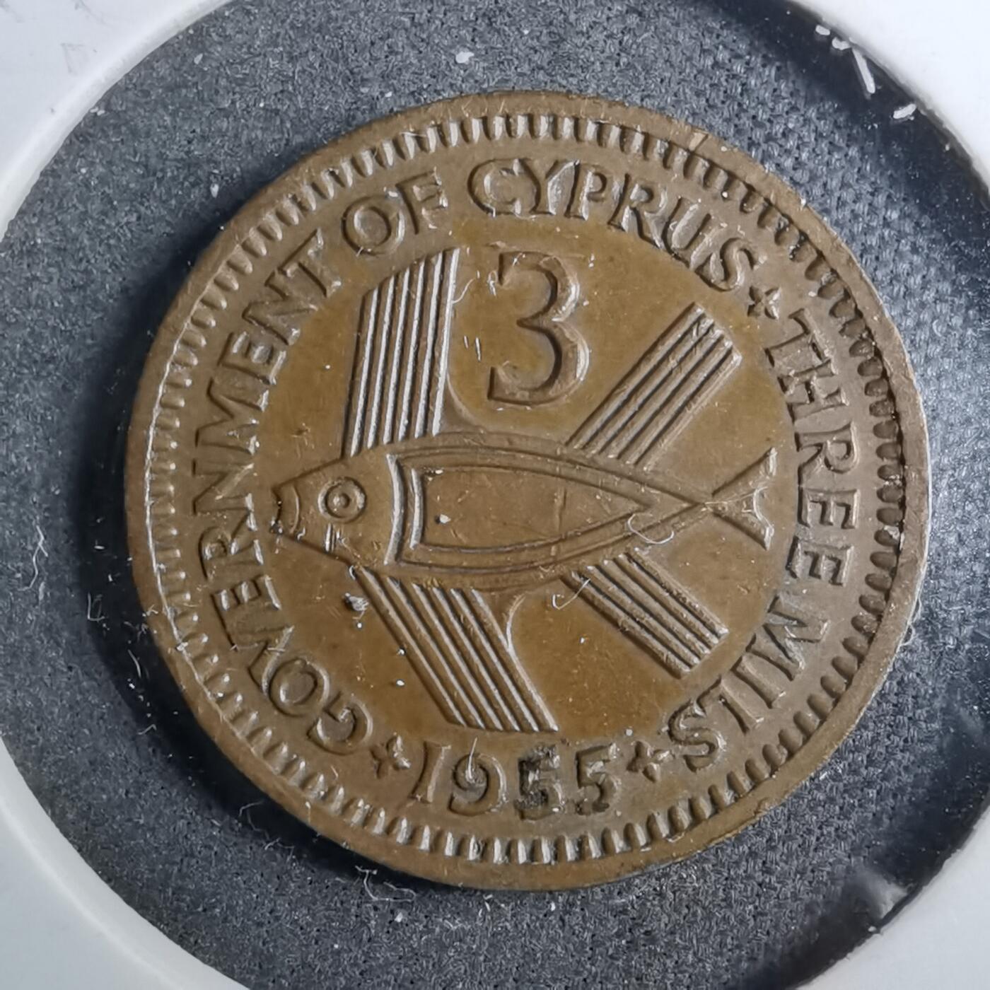 沼泽如烟--第888场