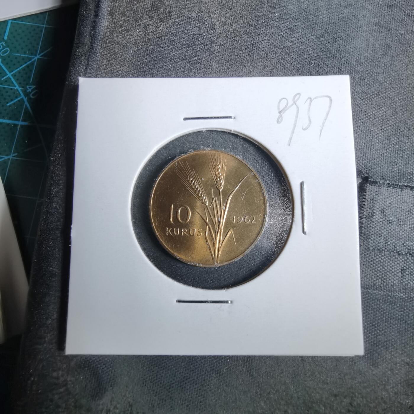 沼泽如烟--第889场