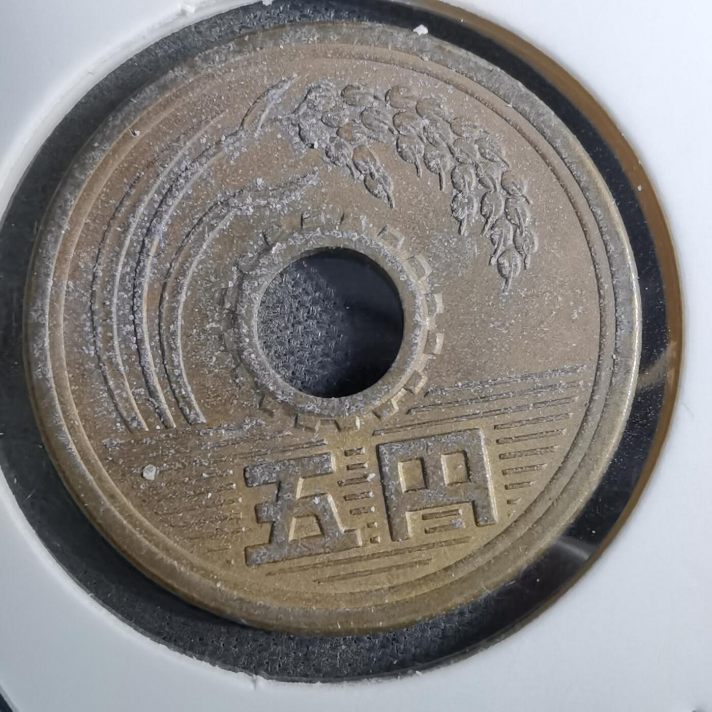 沼泽如烟--第888场