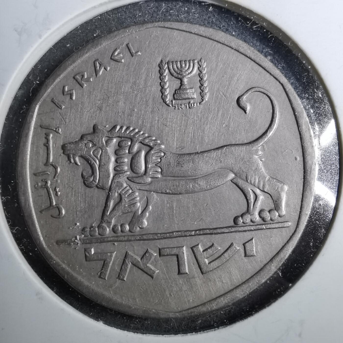 沼泽如烟--第888场 以色列大狮子