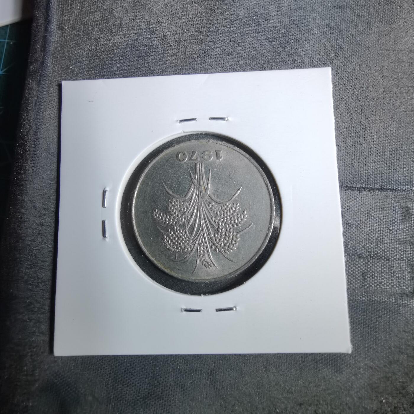 沼泽如烟--第889场