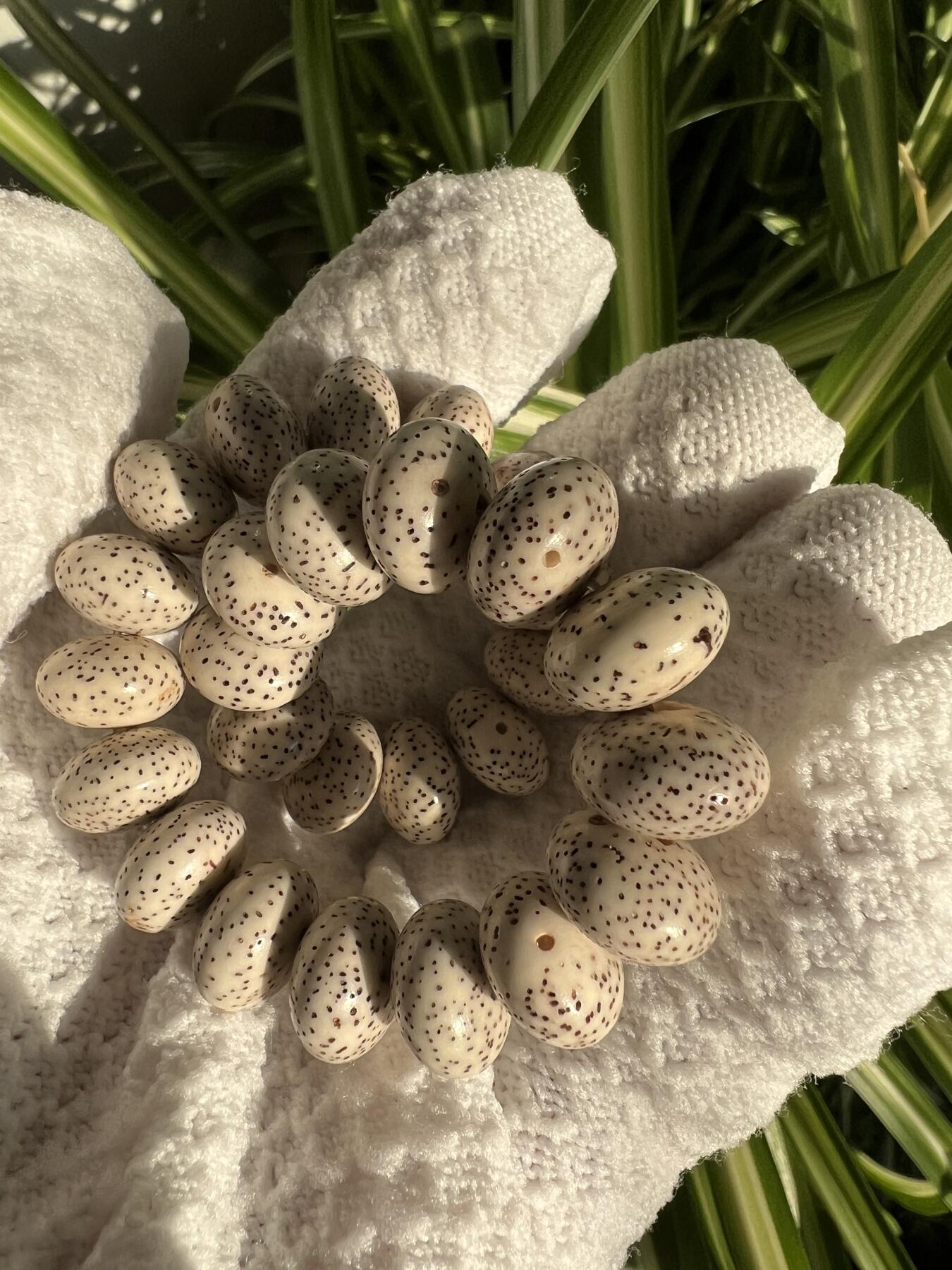 零元拍：星月算盘珠手串 13/8