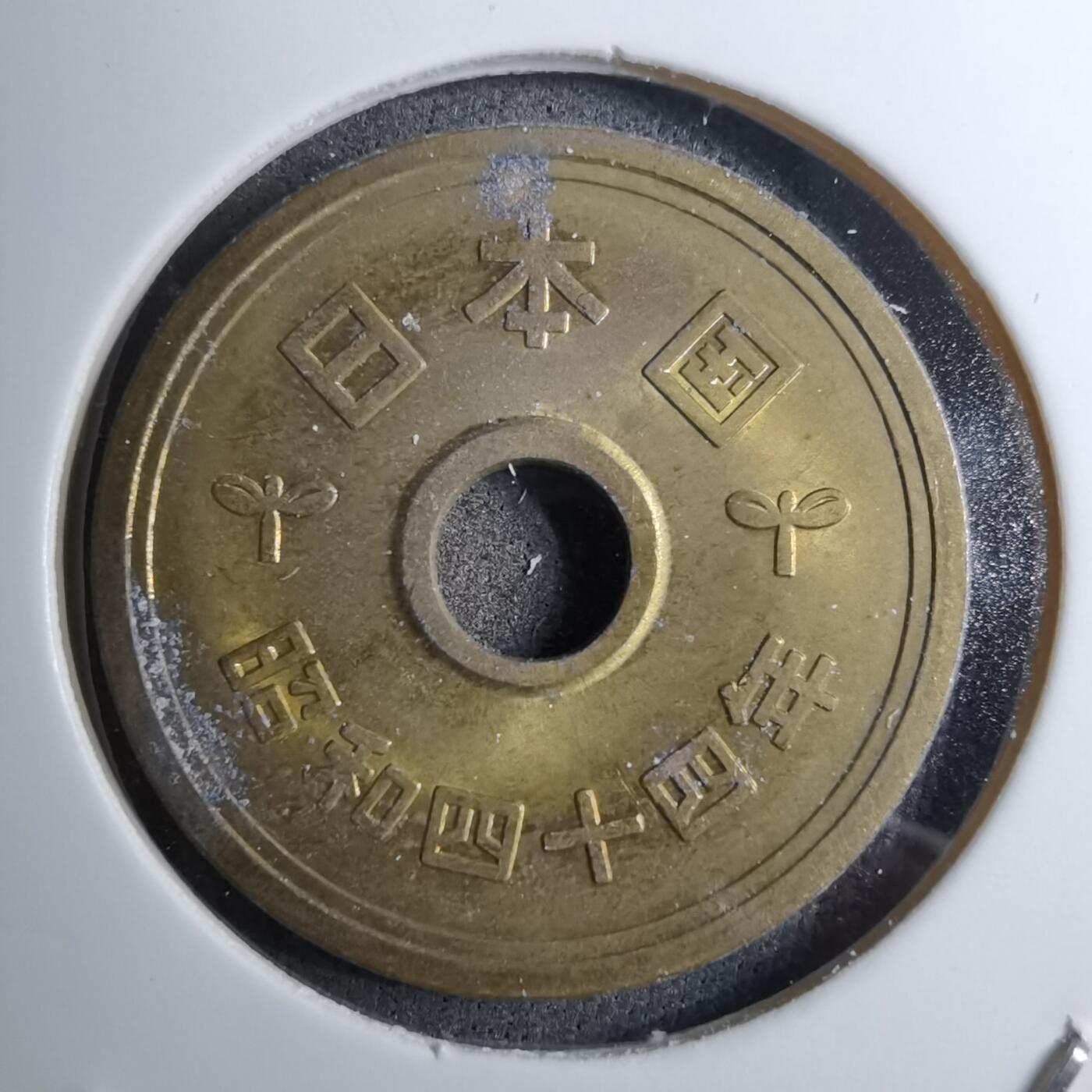 沼泽如烟--第888场