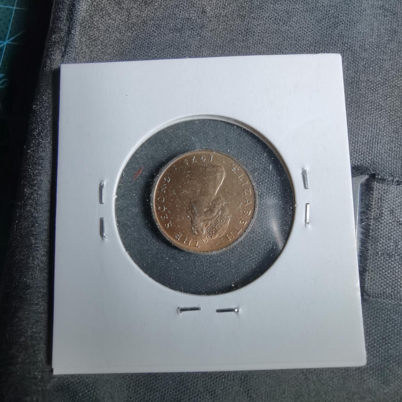 沼泽如烟--第889场