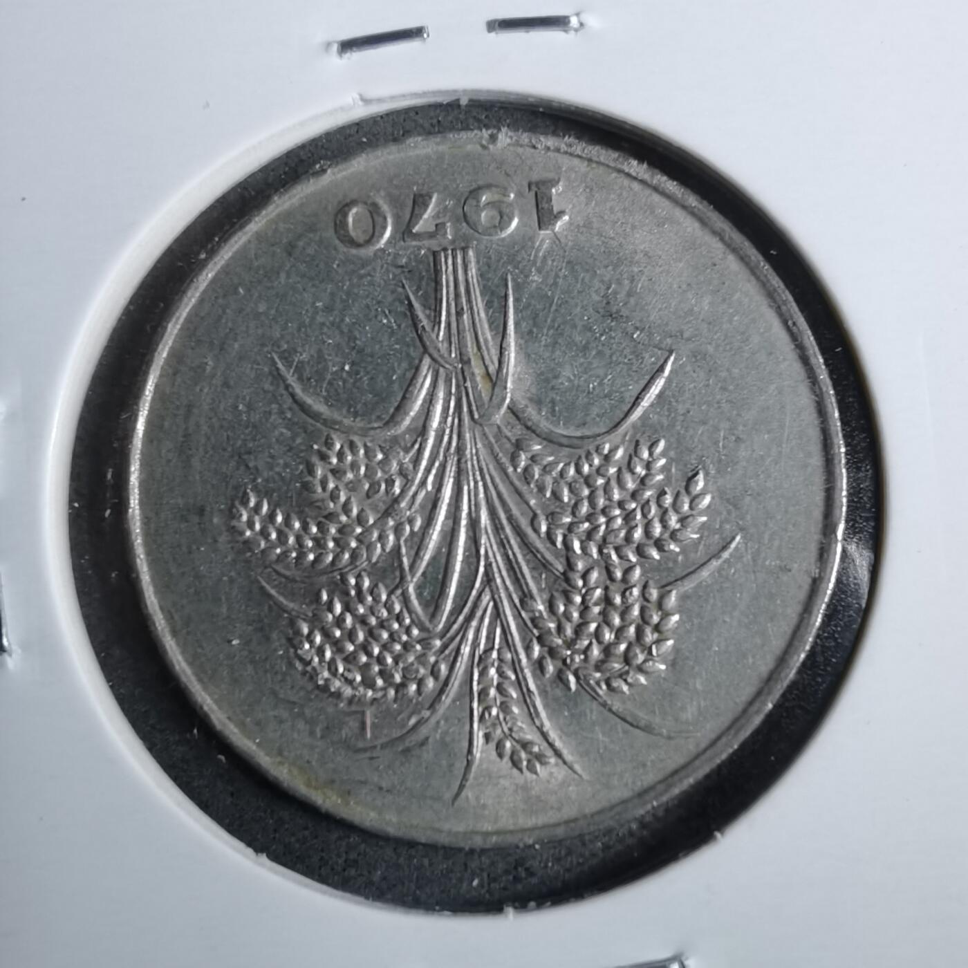 沼泽如烟--第889场