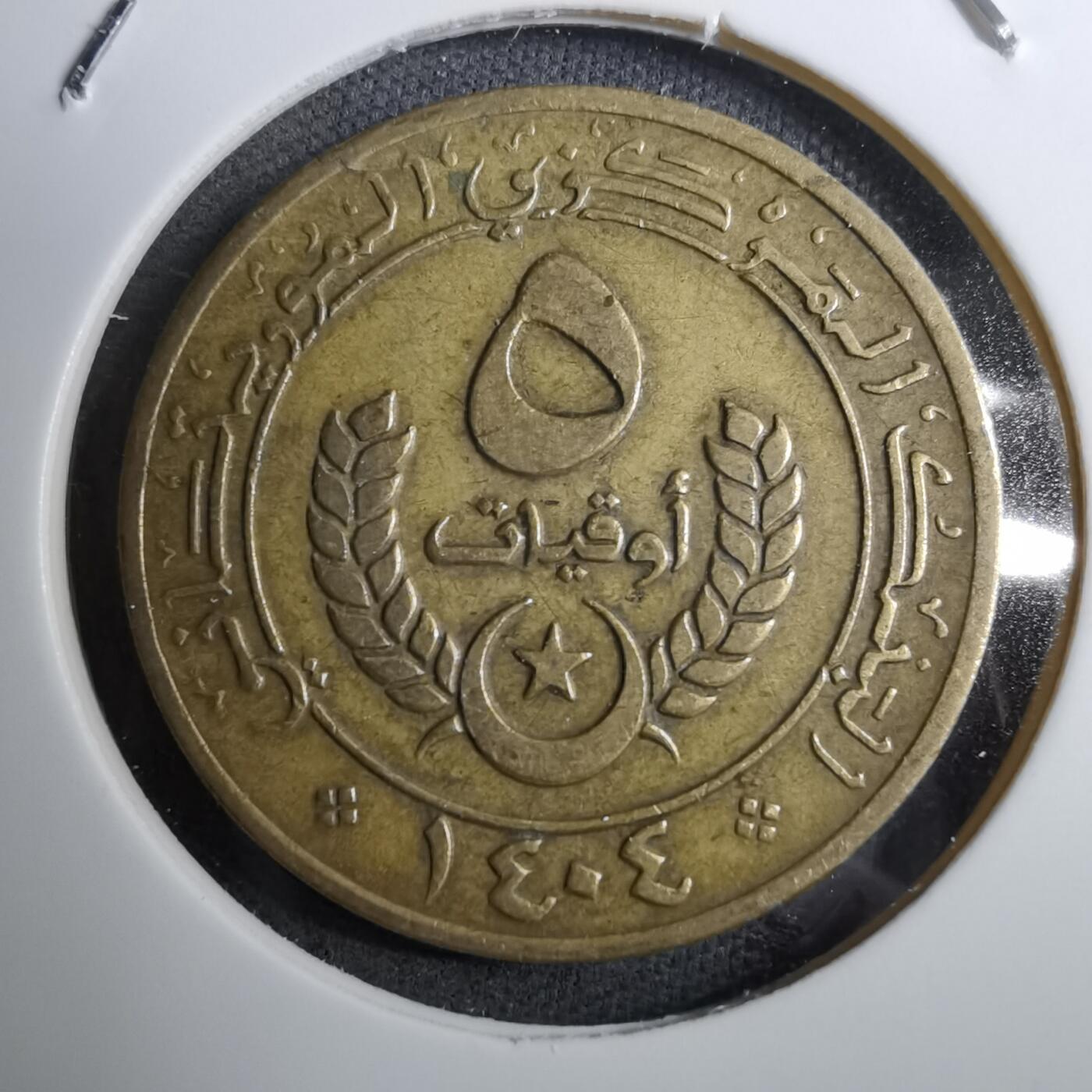 沼泽如烟--第888场