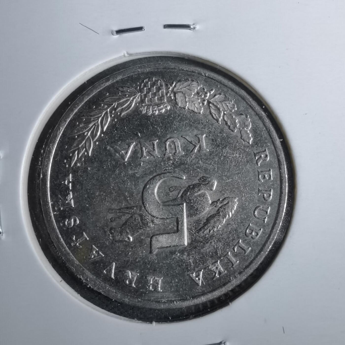 沼泽如烟--第889场