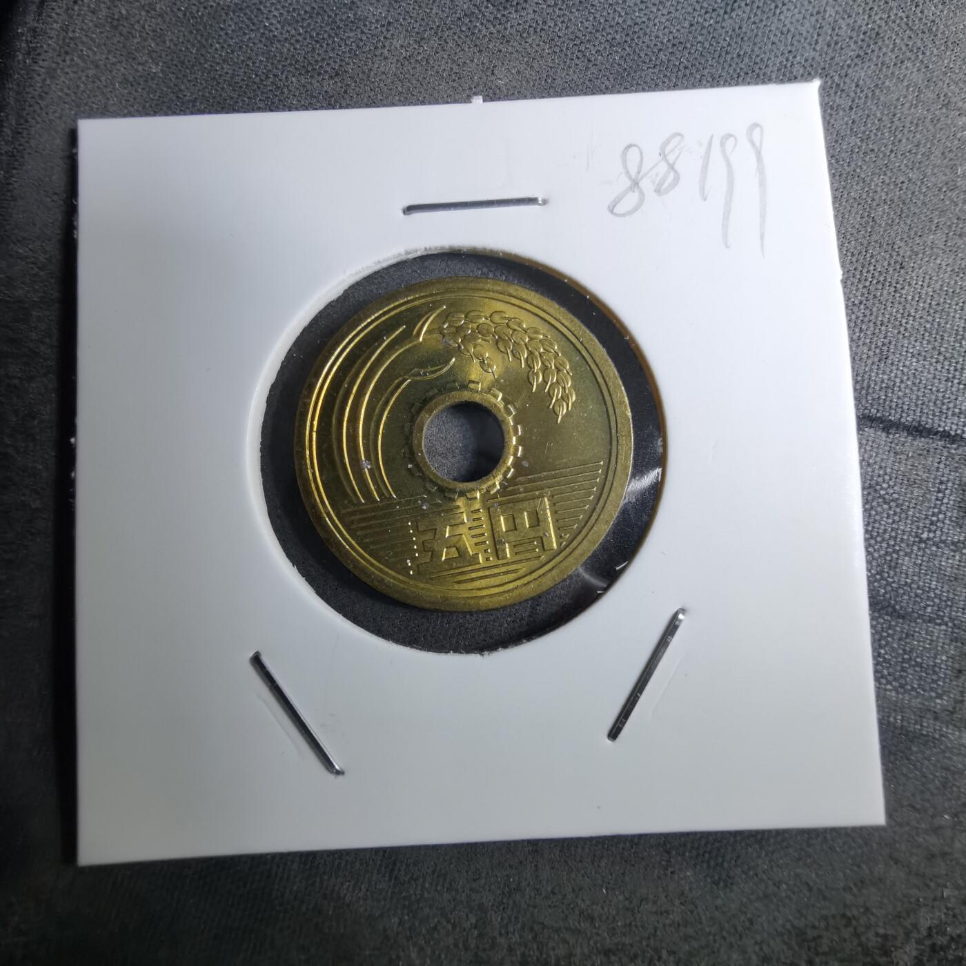 沼泽如烟--第888场