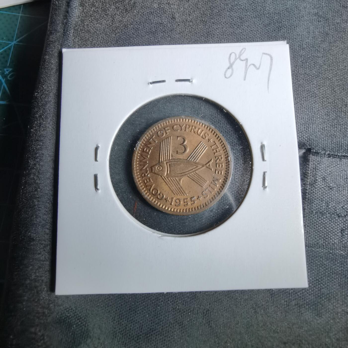 沼泽如烟--第889场