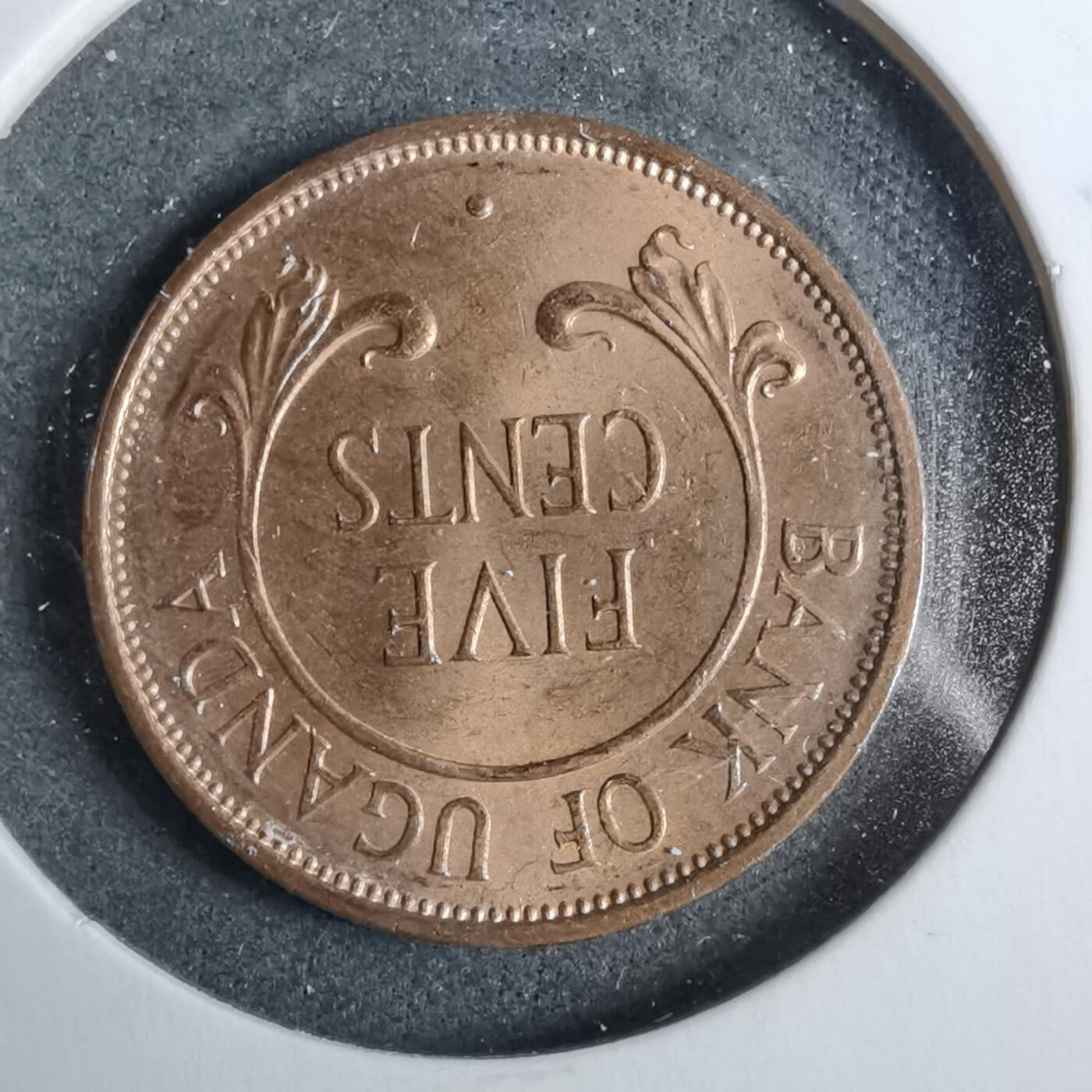 沼泽如烟--第889场