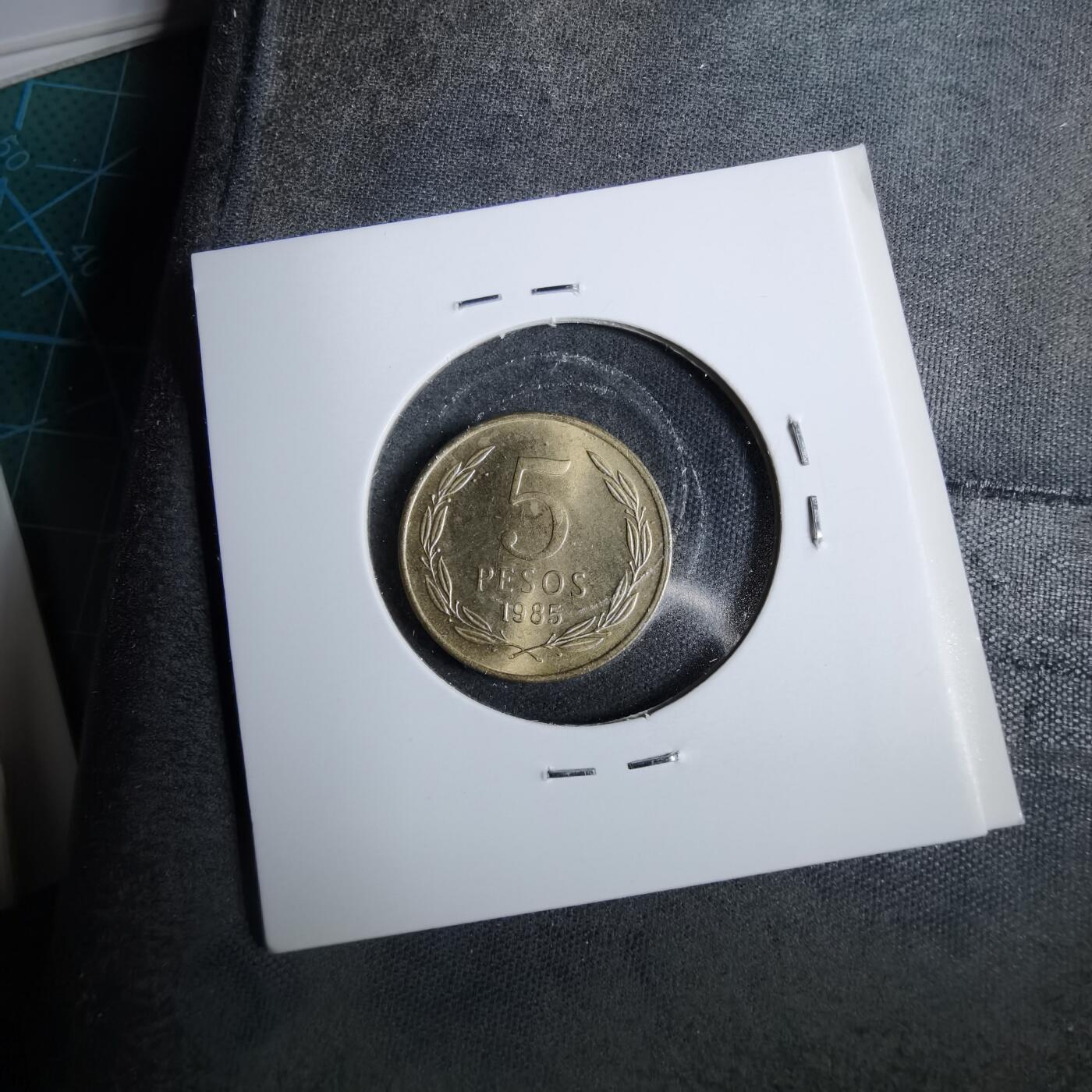 沼泽如烟--第889场