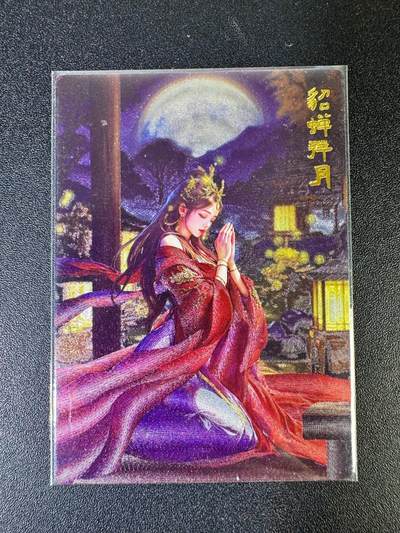 NO.14 好又多金牌大场，双11狂欢！每周一站式配齐，方便凑单！（周6晚8点截拍，卖家送拍0抽成！） - 【133/200编】齐卡*卡有江湖 貂蝉拜月 粗闪