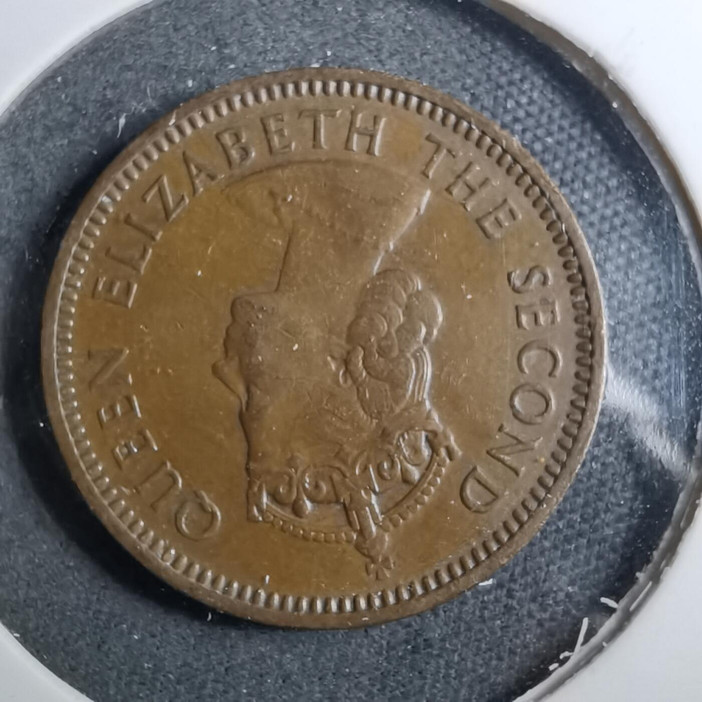 沼泽如烟--第888场