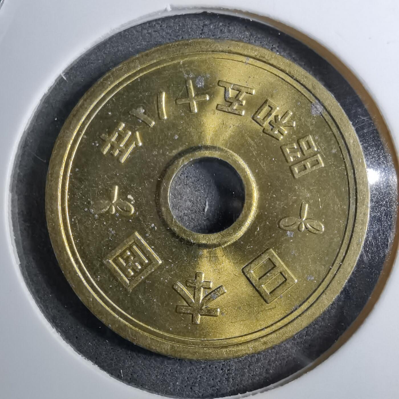 沼泽如烟--第888场