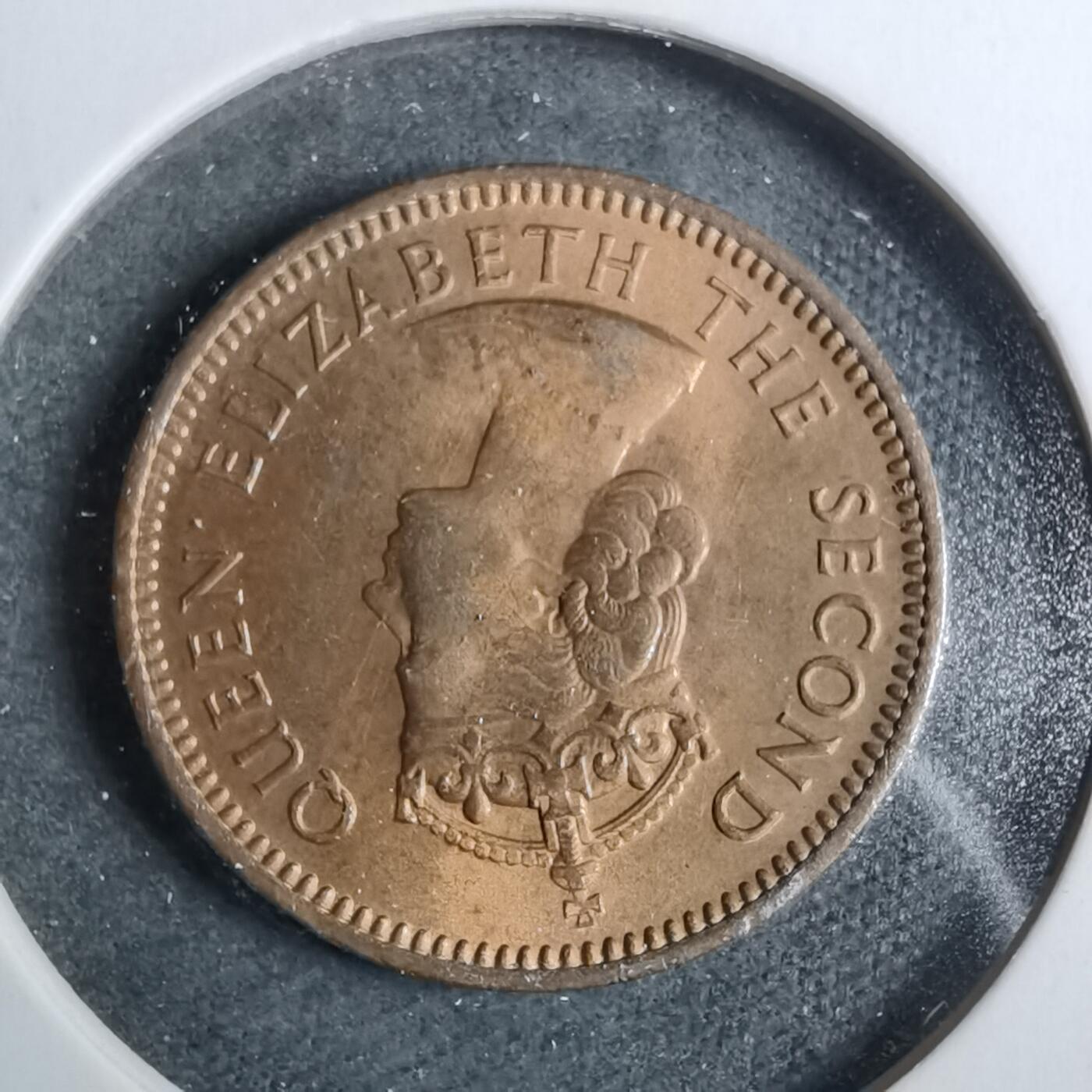 沼泽如烟--第889场