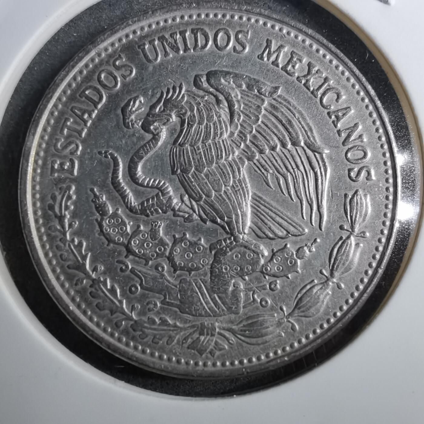 沼泽如烟--第888场