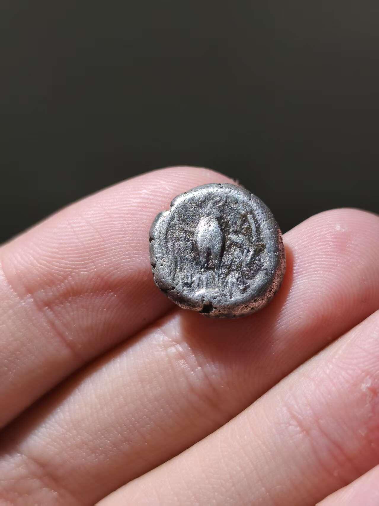 星盘世界钱币十一月五日古典币专场