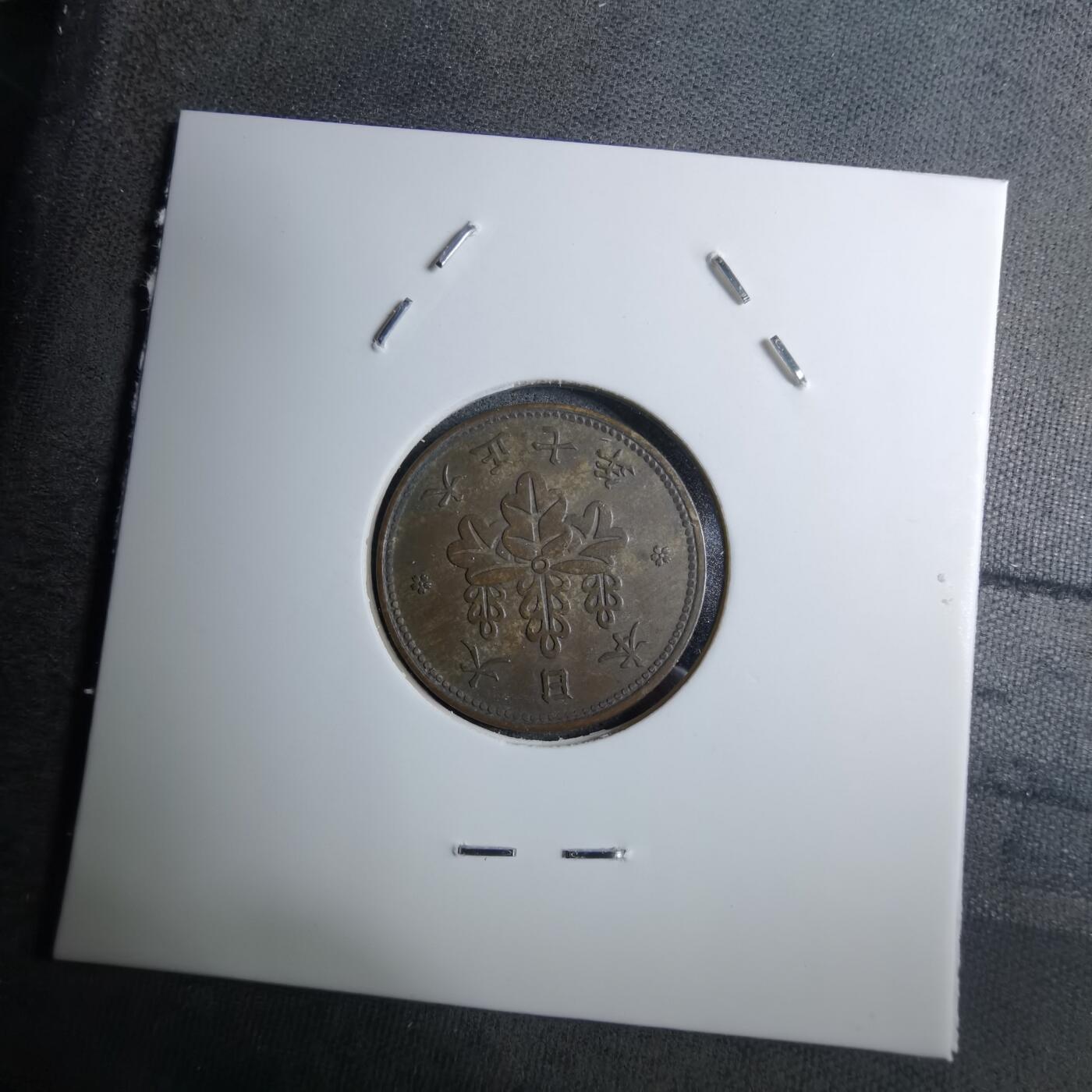 沼泽如烟--第888场