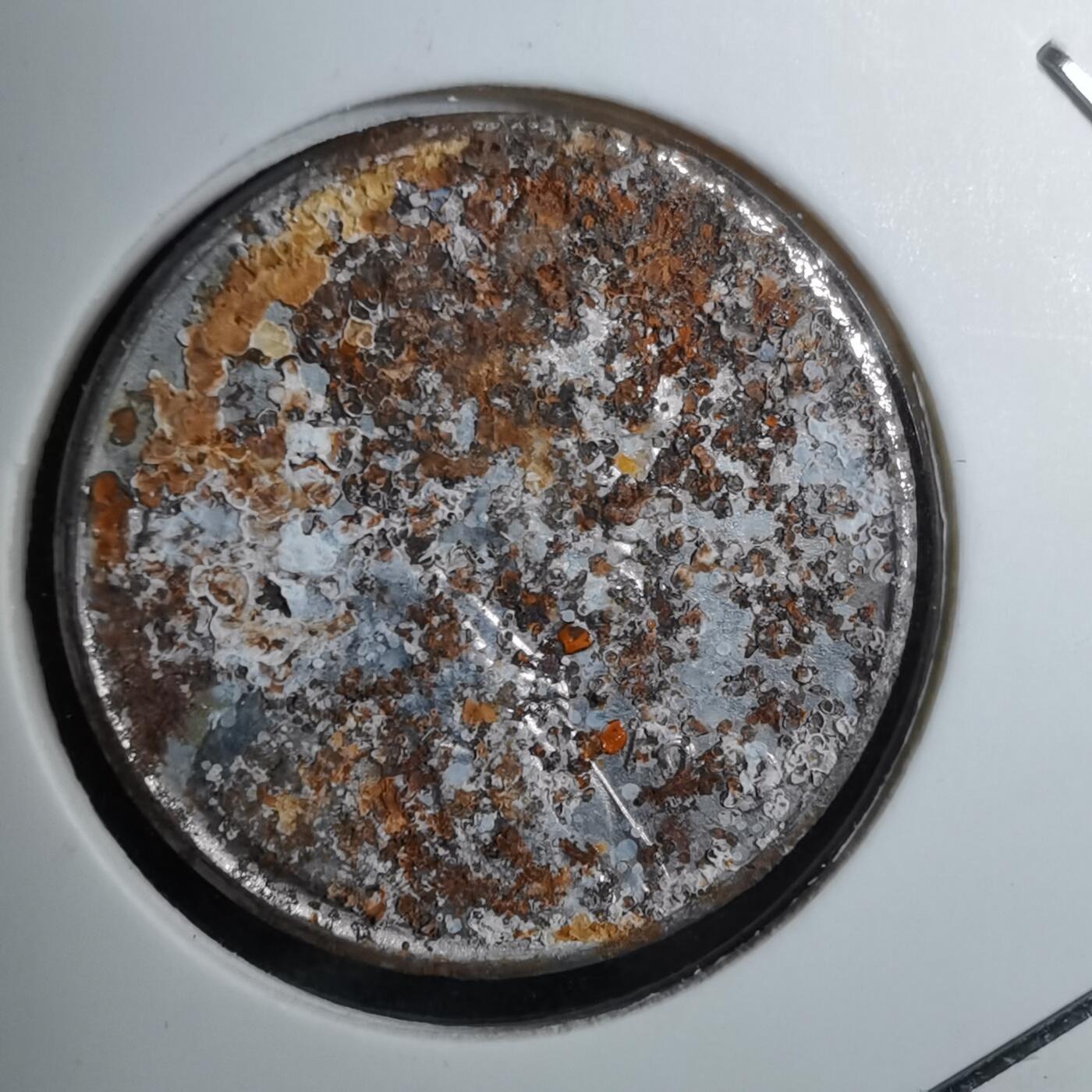 沼泽如烟--第888场