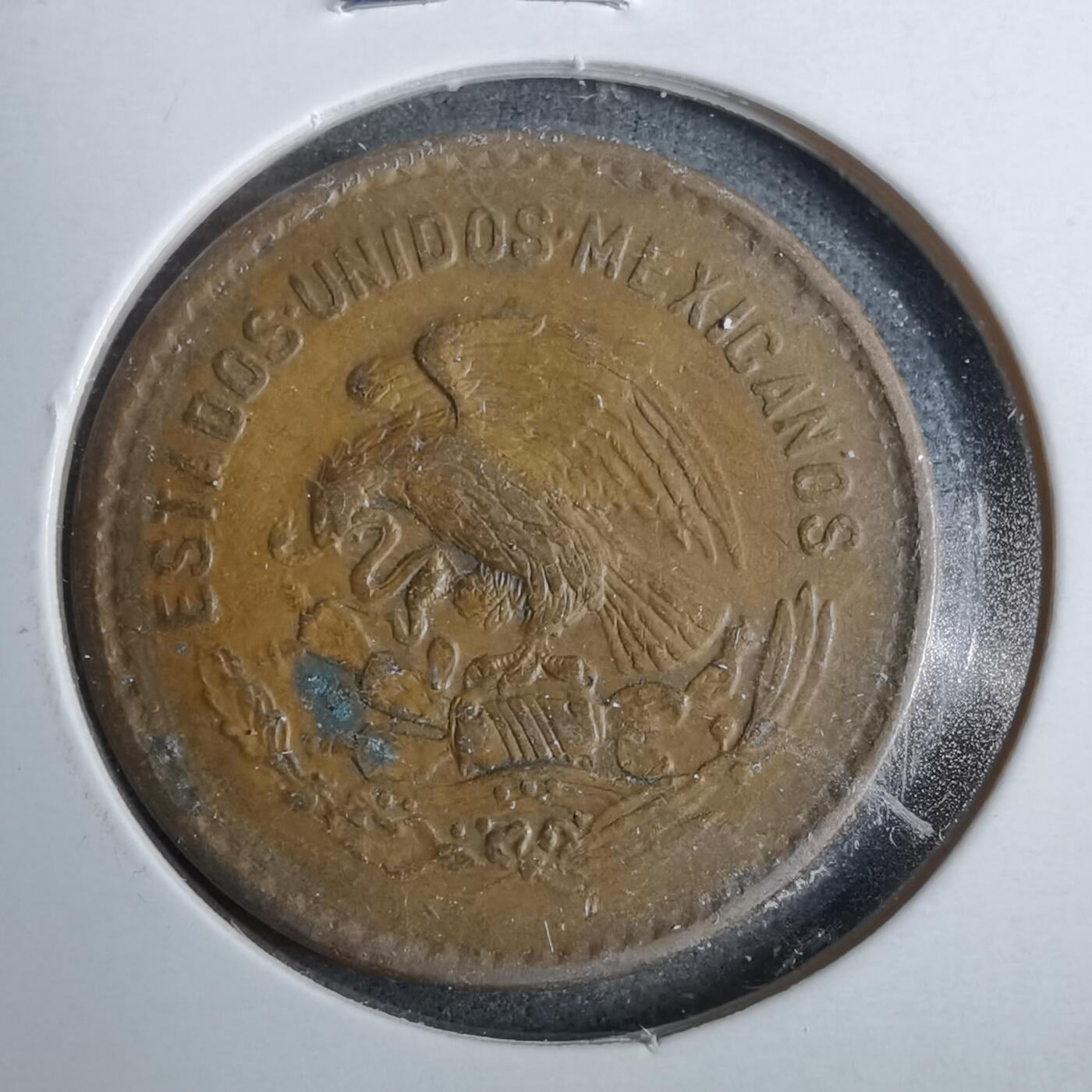 沼泽如烟--第889场