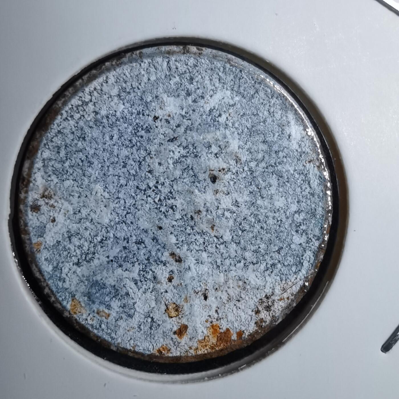 沼泽如烟--第888场 氧化严重美分