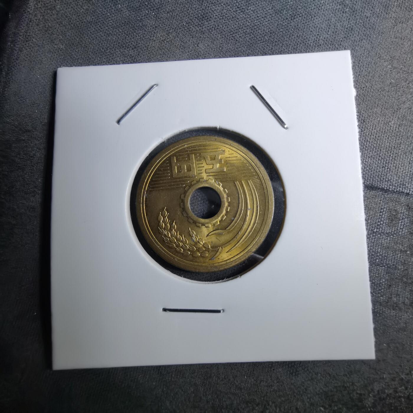 沼泽如烟--第888场