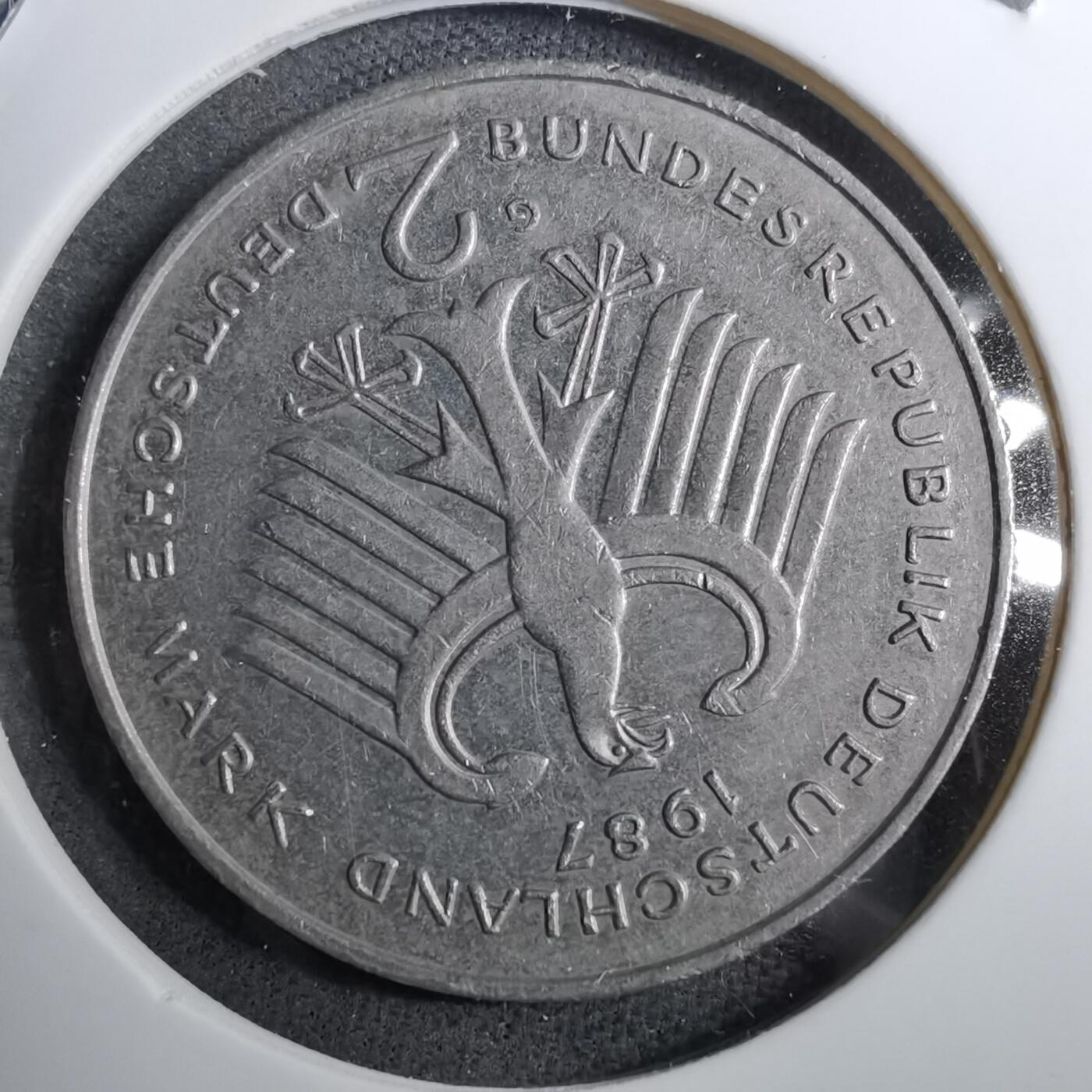 沼泽如烟--第888场