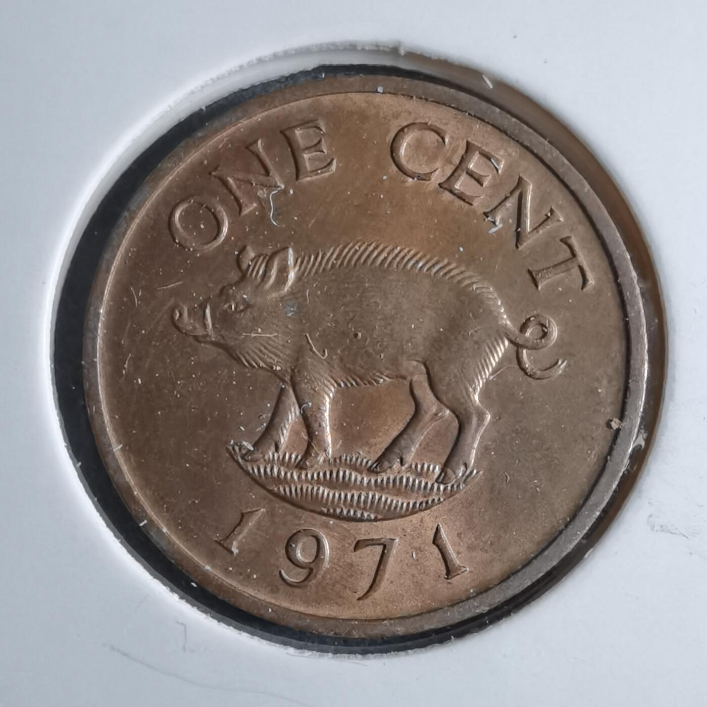 沼泽如烟--第888场