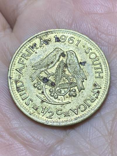 2025年第一百二十一场(总第一百四十七场）外国好品散币(免佣金) - 南非🇿🇦1961年1/2分