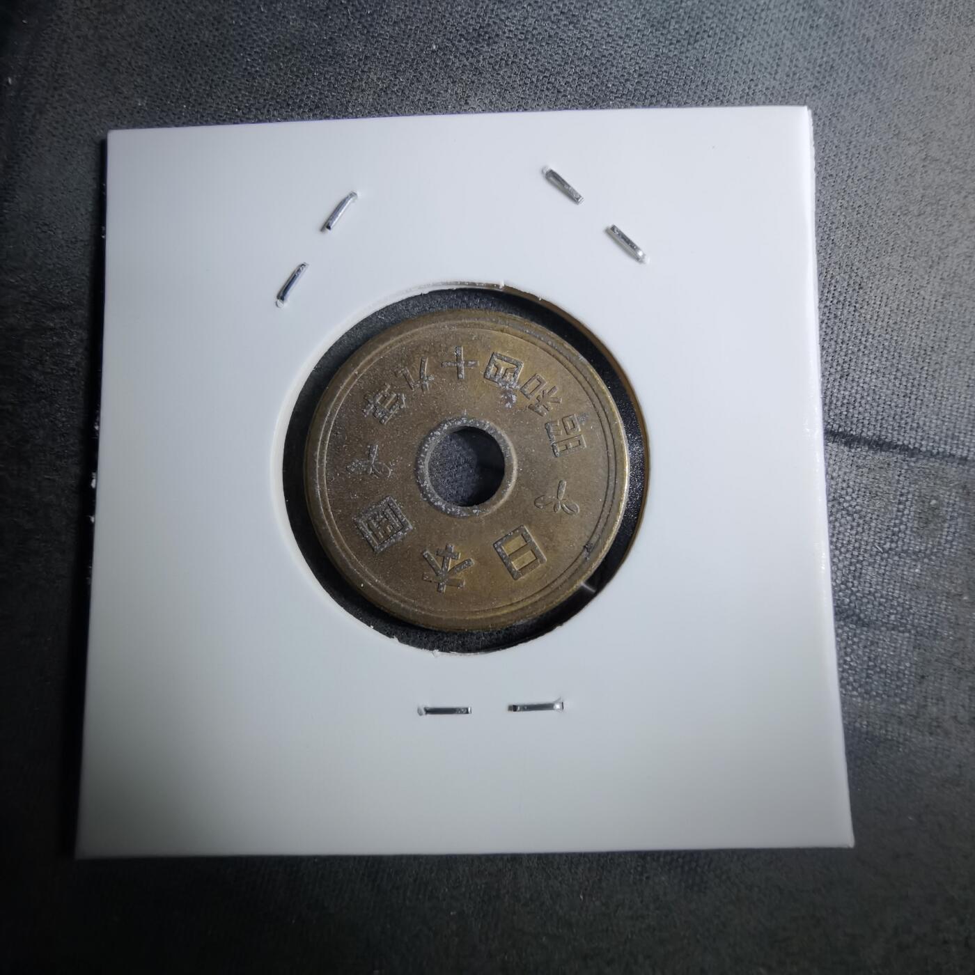 沼泽如烟--第888场