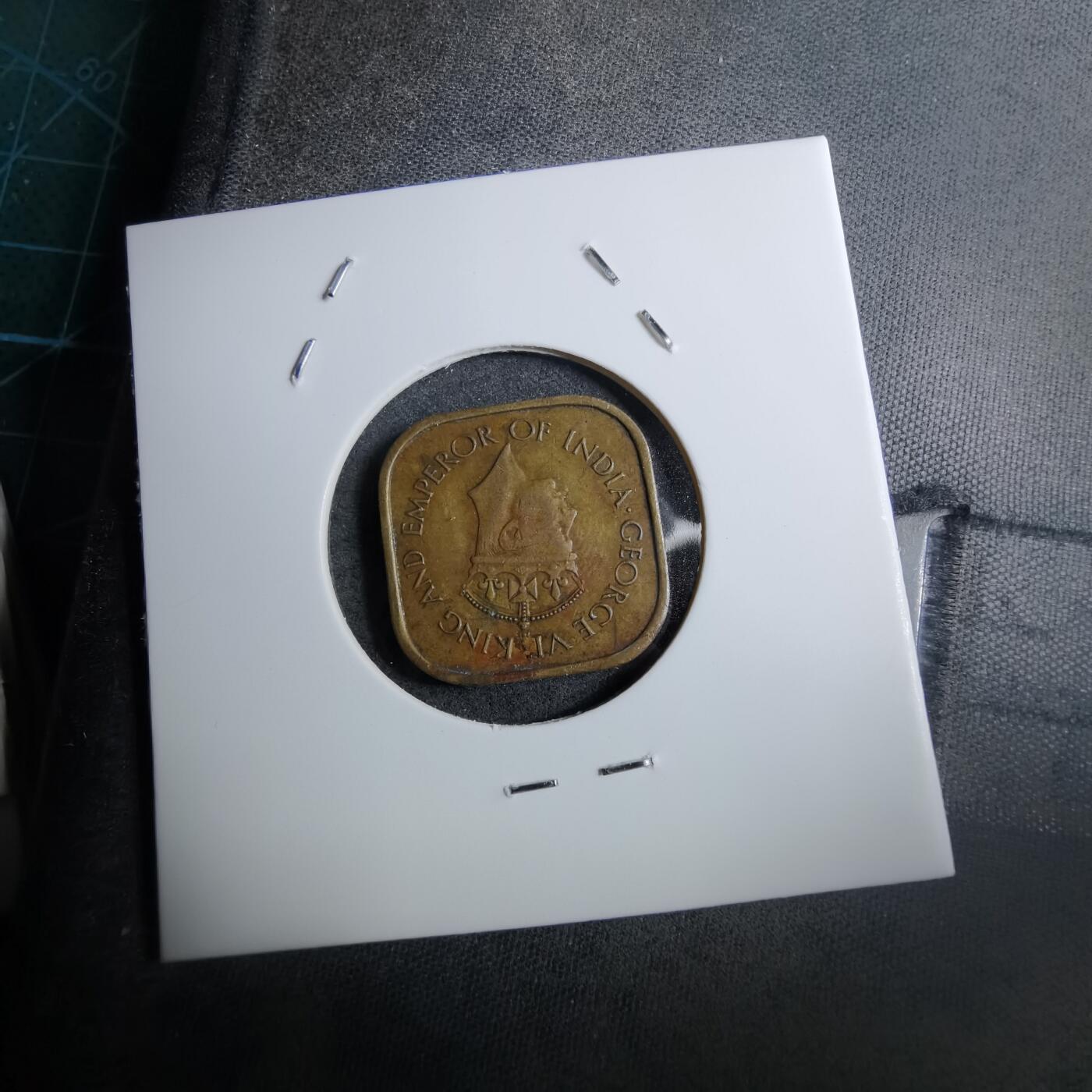 沼泽如烟--第888场