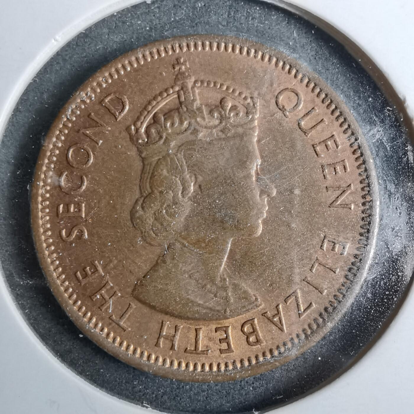 沼泽如烟--第889场