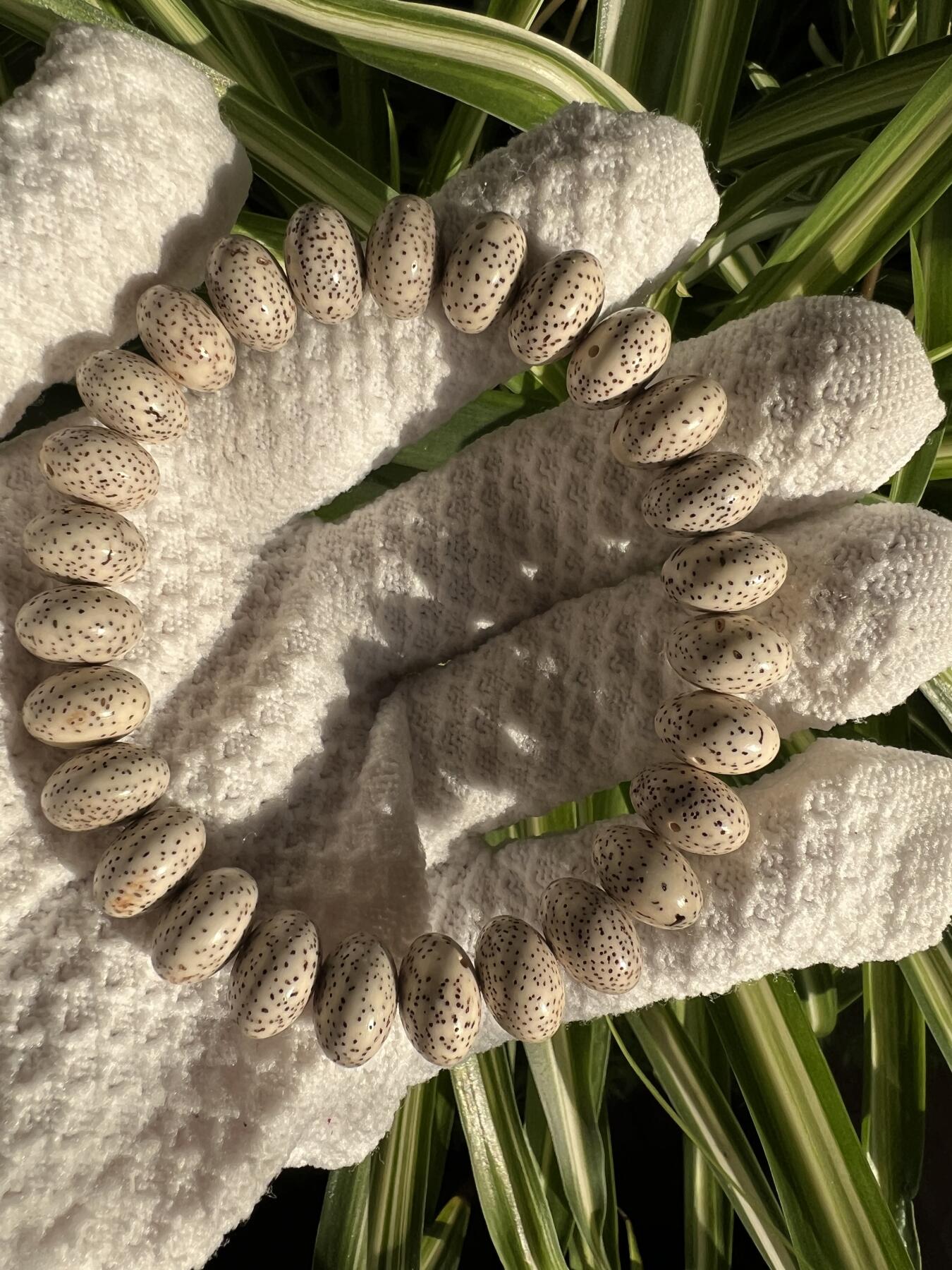 零元拍：星月算盘珠手串 13/8