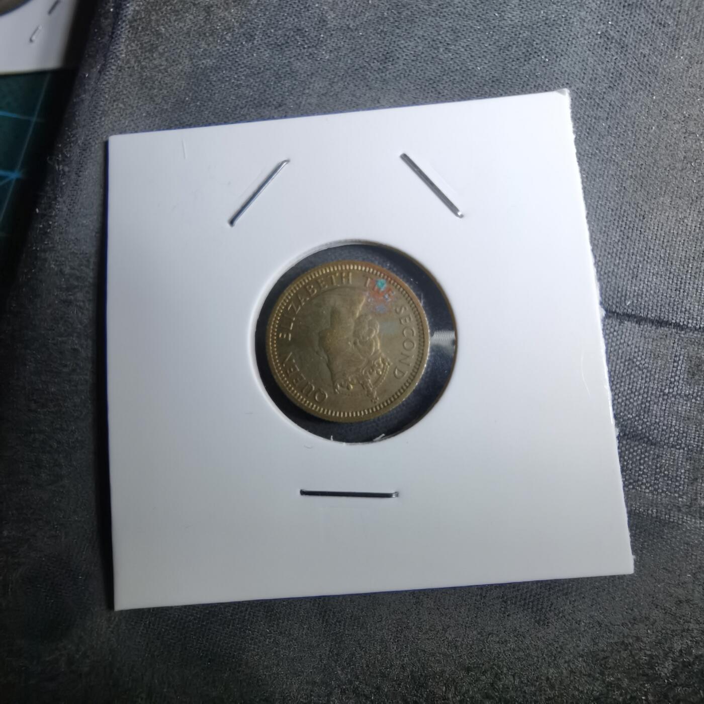 沼泽如烟--第888场