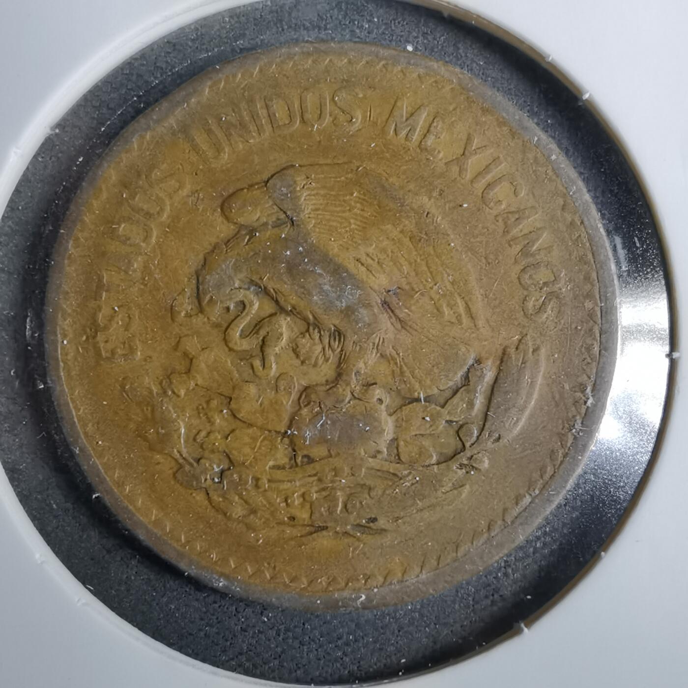 沼泽如烟--第889场