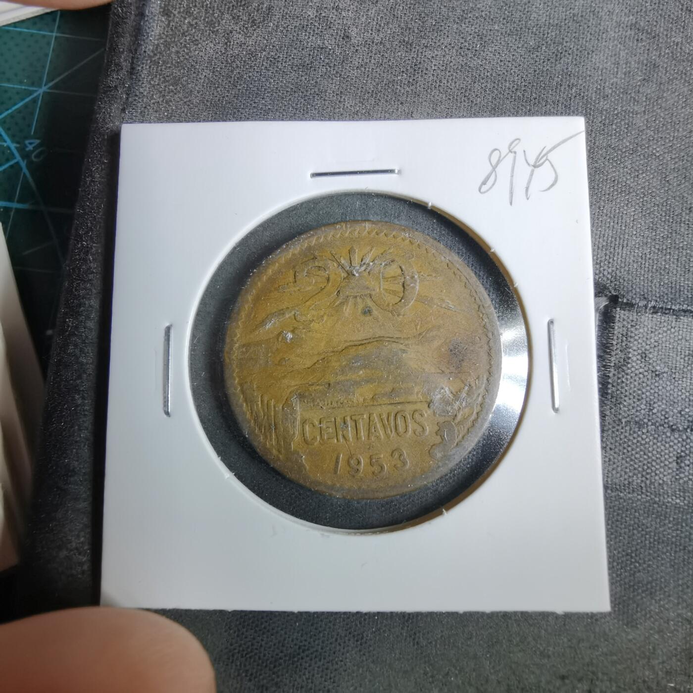 沼泽如烟--第889场