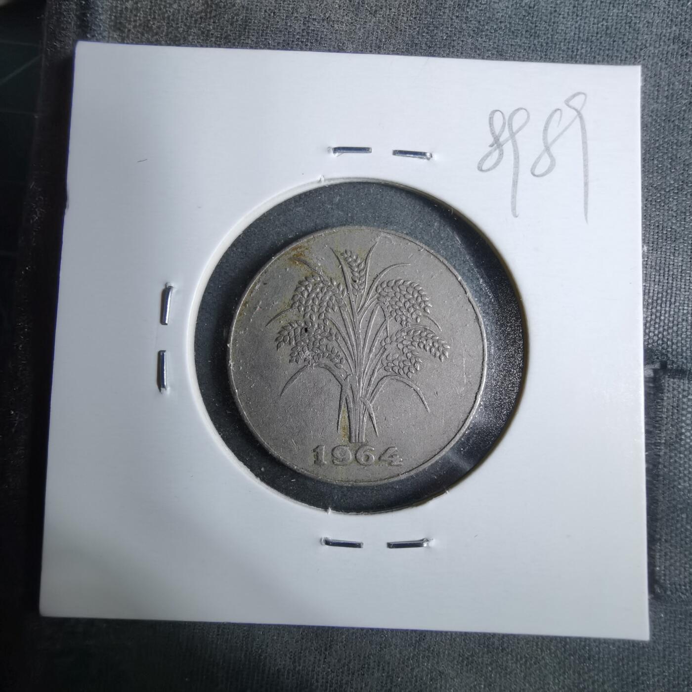 沼泽如烟--第889场