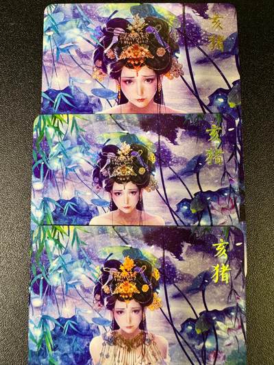 NO.14 好又多金牌大场，双11狂欢！每周一站式配齐，方便凑单！（周6晚8点截拍，卖家送拍0抽成！） - 焱卡 十二生肖 亥猪 三渐变 彩闪